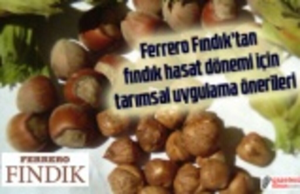 Ferrero Fındık’tan fındık hasat dönemi için tarımsal uygulama önerileri