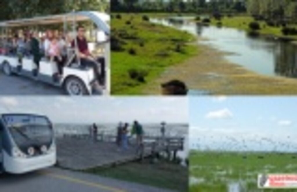 Kuş Cenneti'ne ziyaretçi akını