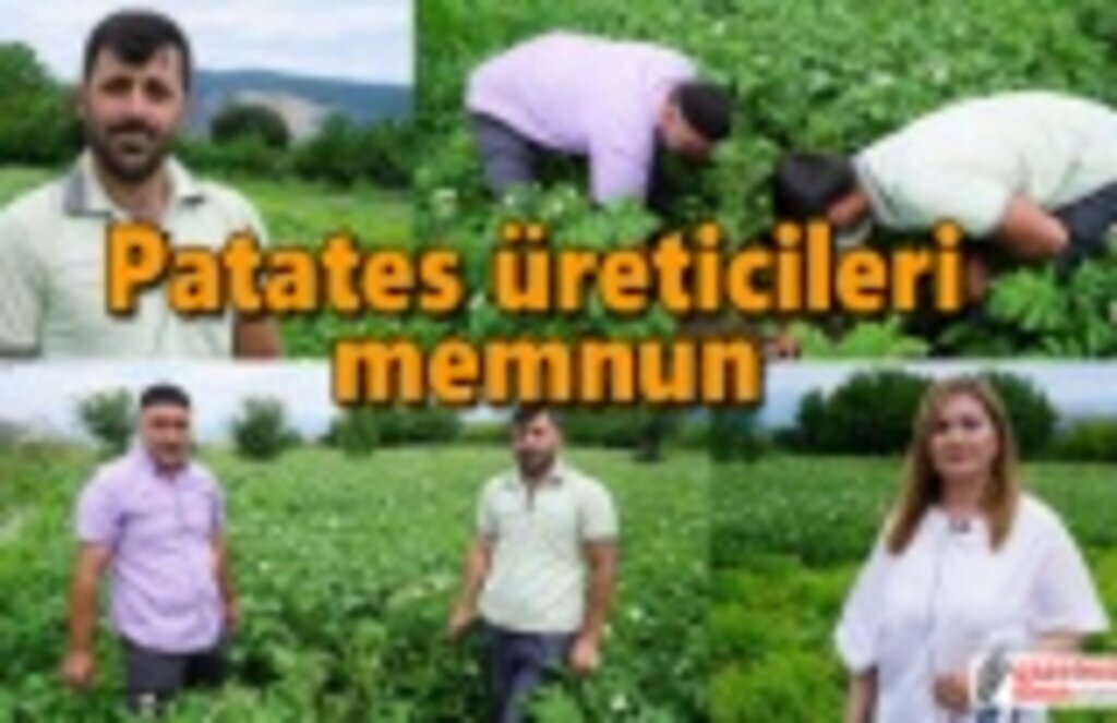 Patates üreticileri memnun
