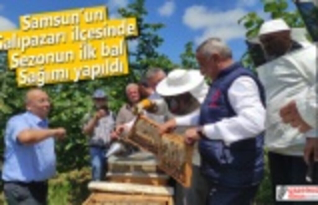 Samsun'un ilk Bal Sağımı Yapıldı