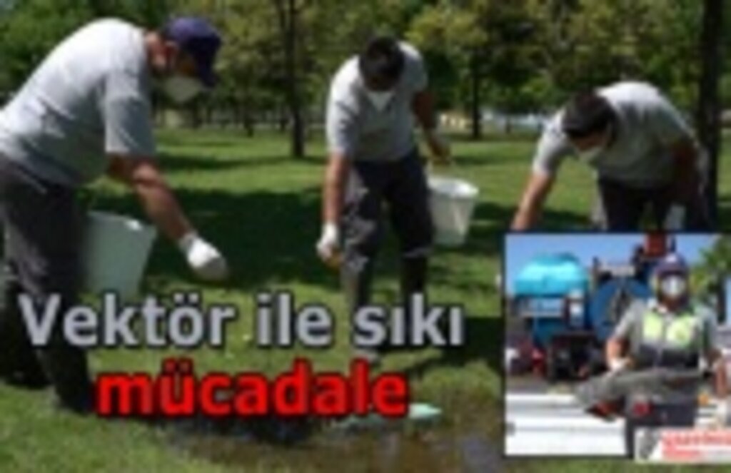 Vektör ile sıkı mücadale