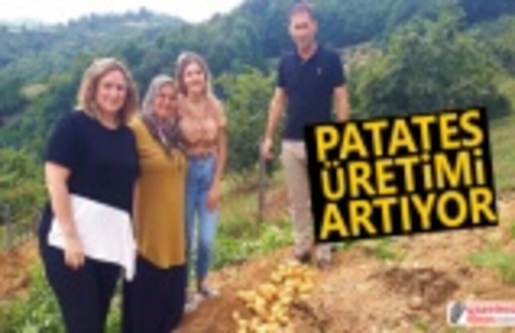 Patates Üretimi Artıyor