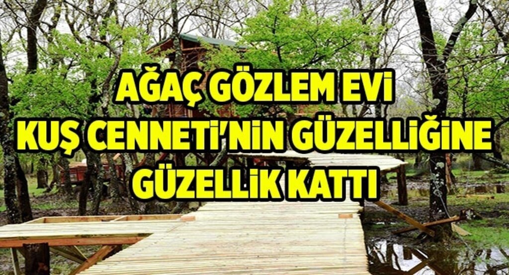 Ağaç gözlem evi Kuş Cenneti'nin güzelliğine güzellik kattı