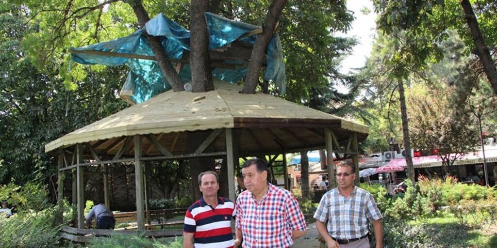 Ağacı kesmemek için kamelyayı çevresine yaptılar