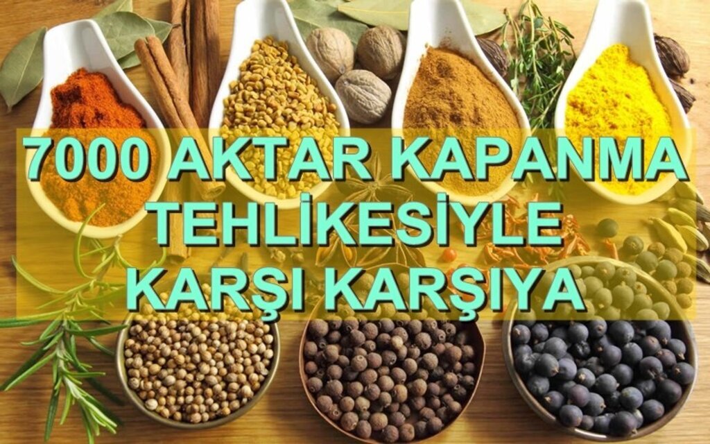 Aktarlık geleneği yok olmak üzere