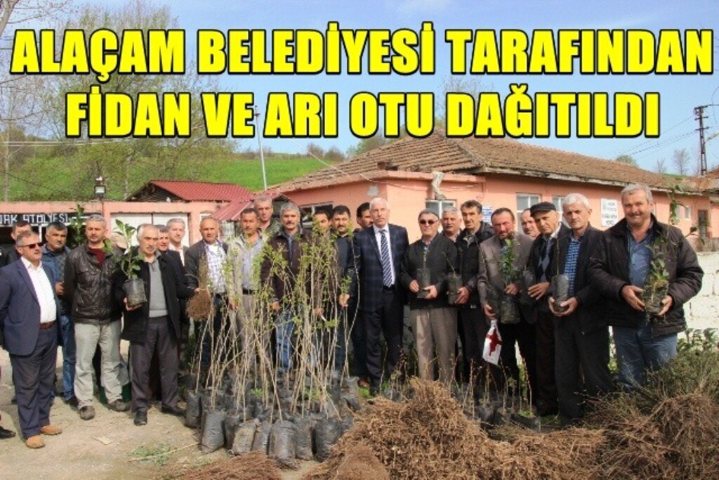 Alaçam Belediyesi Arı Üreticilerine Fidan Ve Arı Otu Desteği