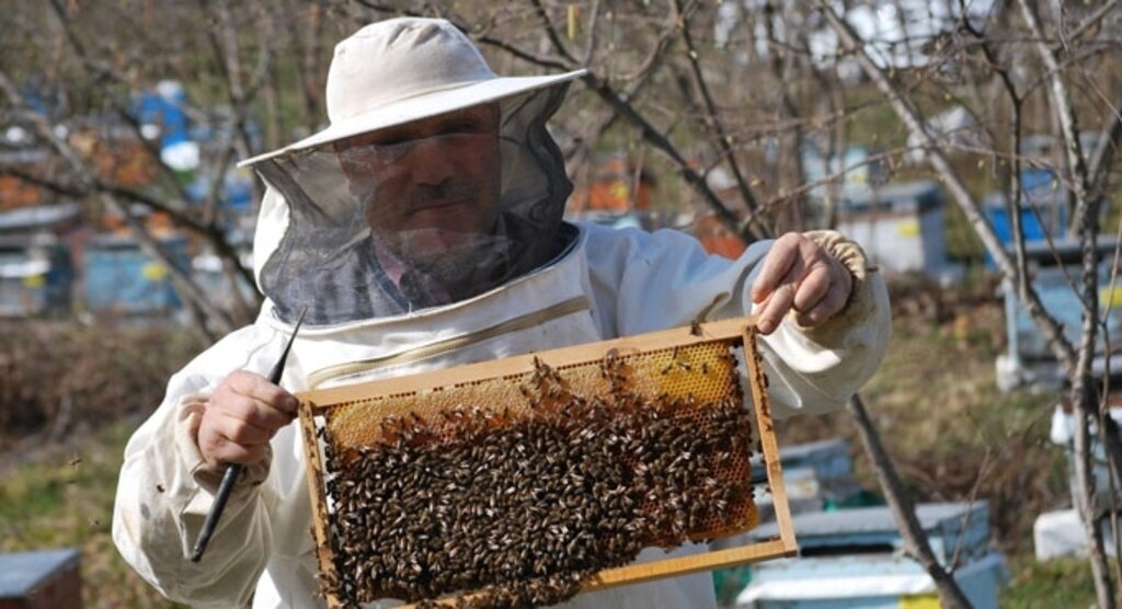 Arıcılara 58 milyon liralık destek müjdesi