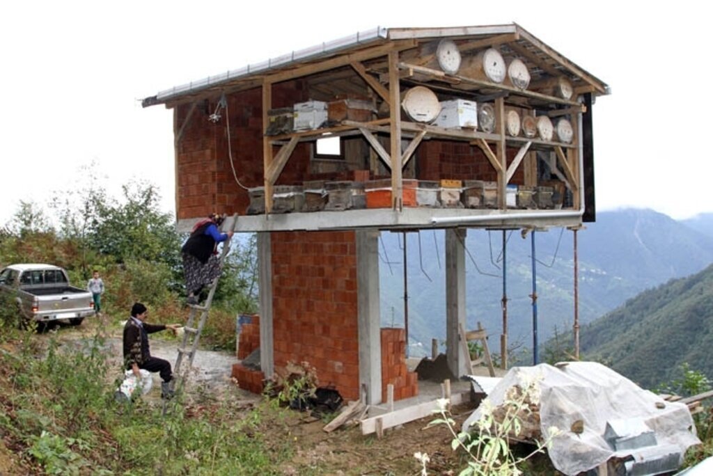 Arılarını ayılardan korumak isteyen Rizelinin 'arı evi' çözümü
