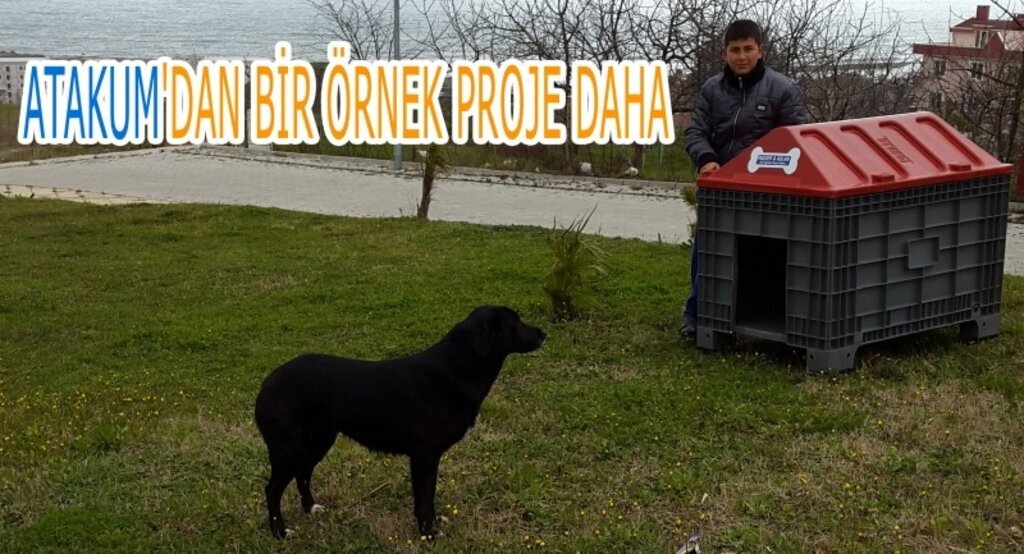 Atıklar, hayvanlara yuva oluyor