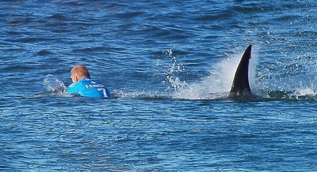 Avustralyalı sörfçüye köpek balığı saldırdı