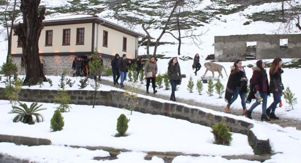 Avusturya da Yaşayan Türk öğrenciler Tekkeköy’ü gezdiler