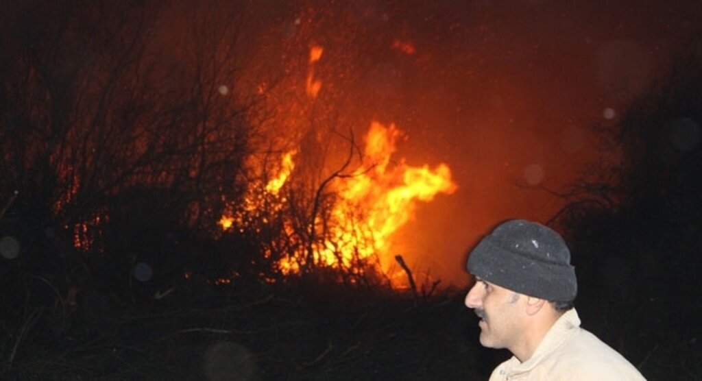 Bafra, Çarşamba, Salıpazarı ve Terme ilçelerinde çıkan yangın korkuttu
