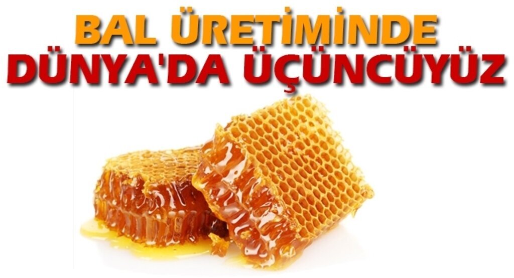 Bal üretiminde Dünyada üçüncüyüz