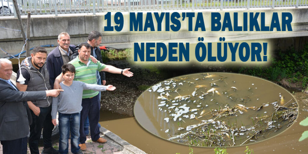 Balık ölümleri Dereköy'ü ayağa kaldırdı