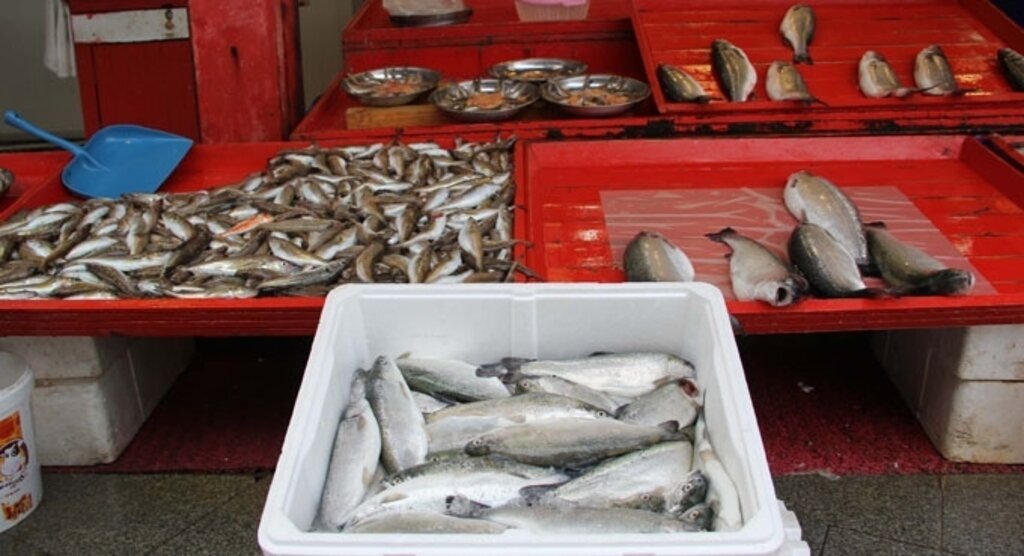 Balık tezgahlarında kültür balıkları boy göstermeye başladı