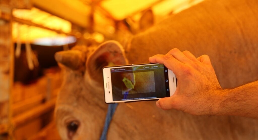 Başakşehirliler kurbanını gönül rahatlığıyla alacak