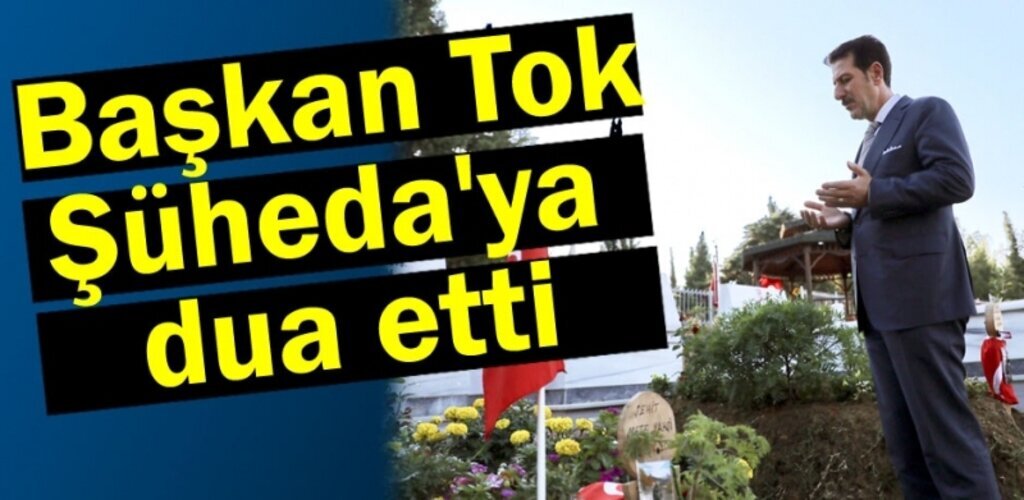 Başkan Tok'tan Namaz Sonrası Şehit Kabir Ziyareti