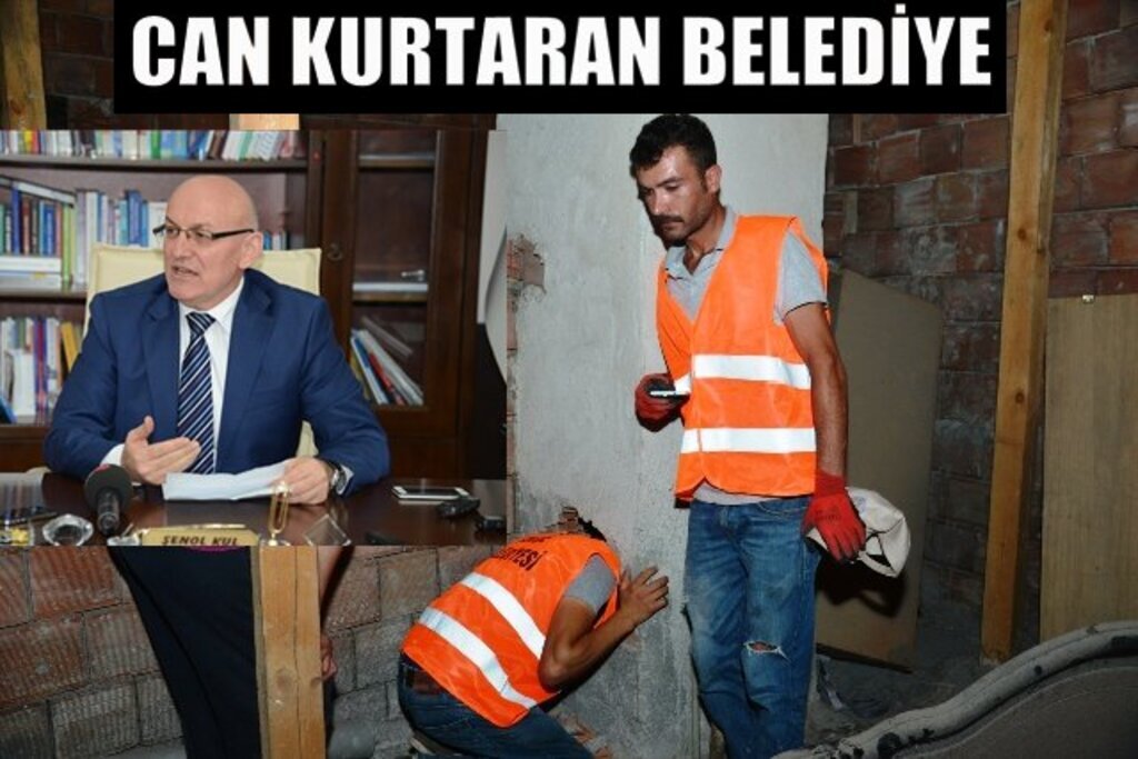 Belediye kedi için seferber oldu