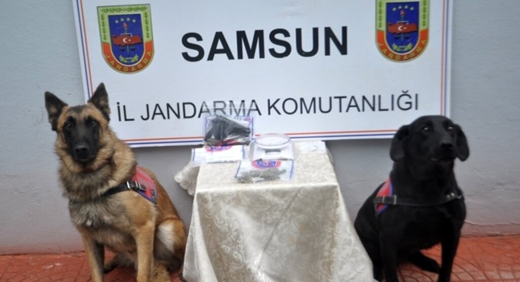 Bıçkı ile Hançer zulayı patlattı