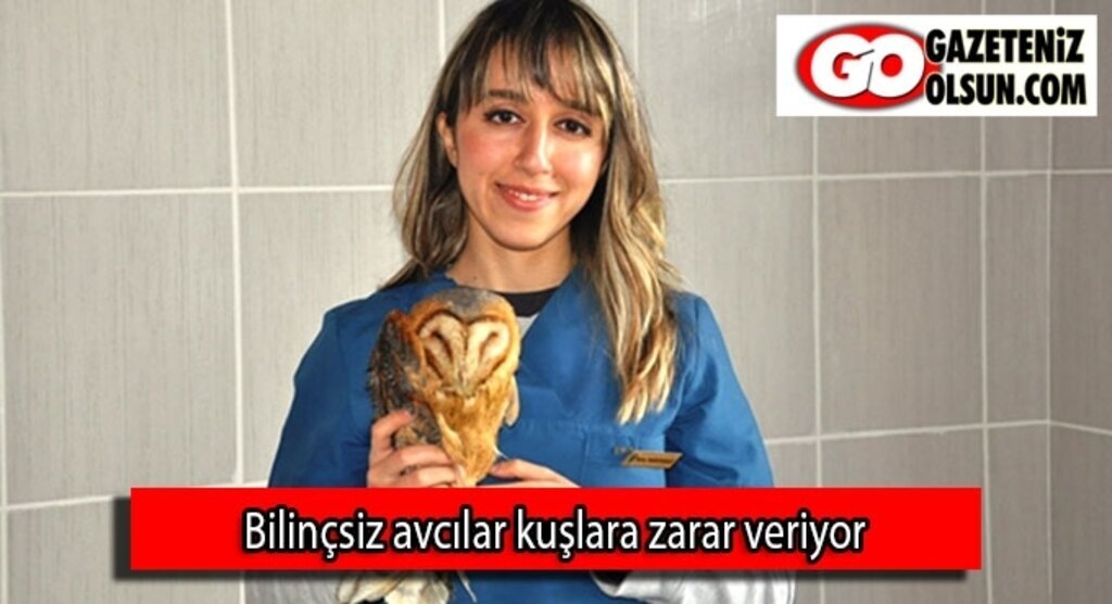Bilinçsiz avcılar kuşlara zarar veriyor