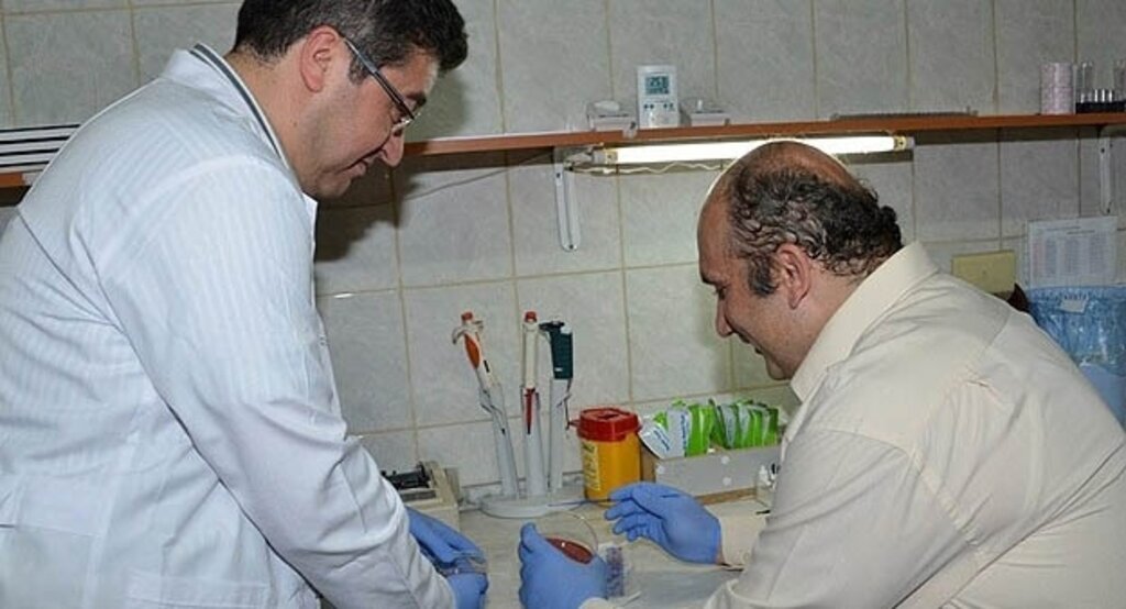 Bitkisel verimi artıran bakteri keşfedildi