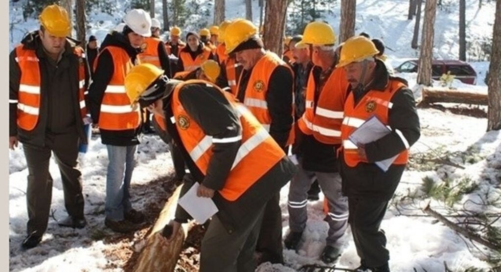 Boyabat Orman İşletmle Müdürlüğü'nden iş güvenliği tatbikatı