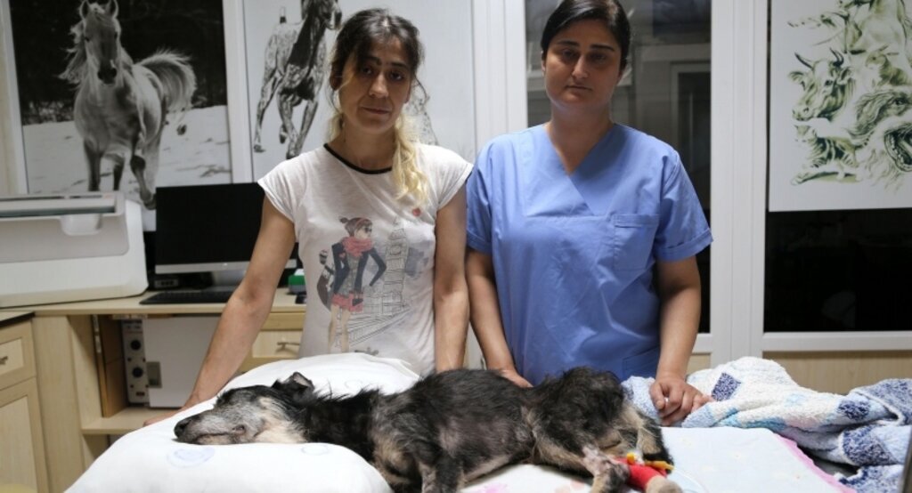 Bütün çabaları 'Kırpık'ı yaşatabilmek için