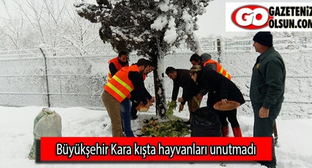 Büyükşehir Kara kışta hayvanları unutmadı