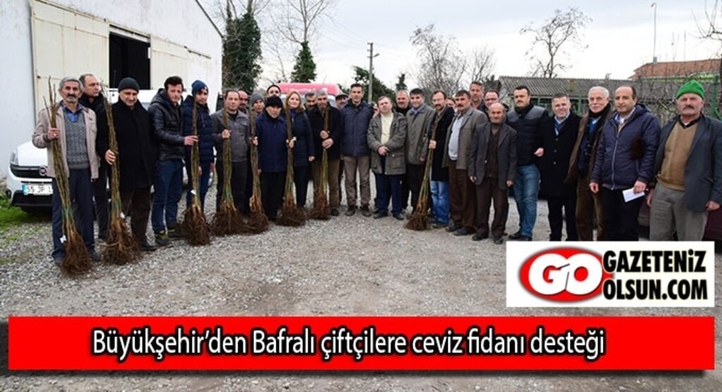 Büyükşehir’den Bafralı çiftçilere ceviz fidanı desteği