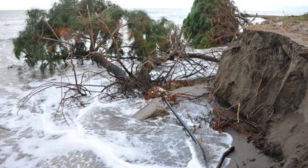 Büyükşehir'in haklılığı ortaya çıktı