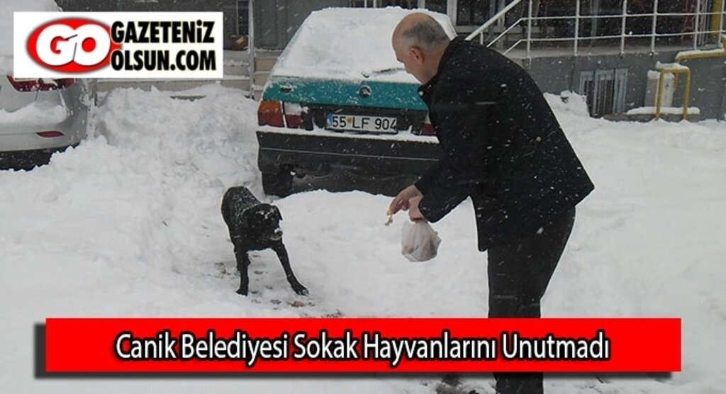 Canik Sokak Hayvanlarını unutmadı