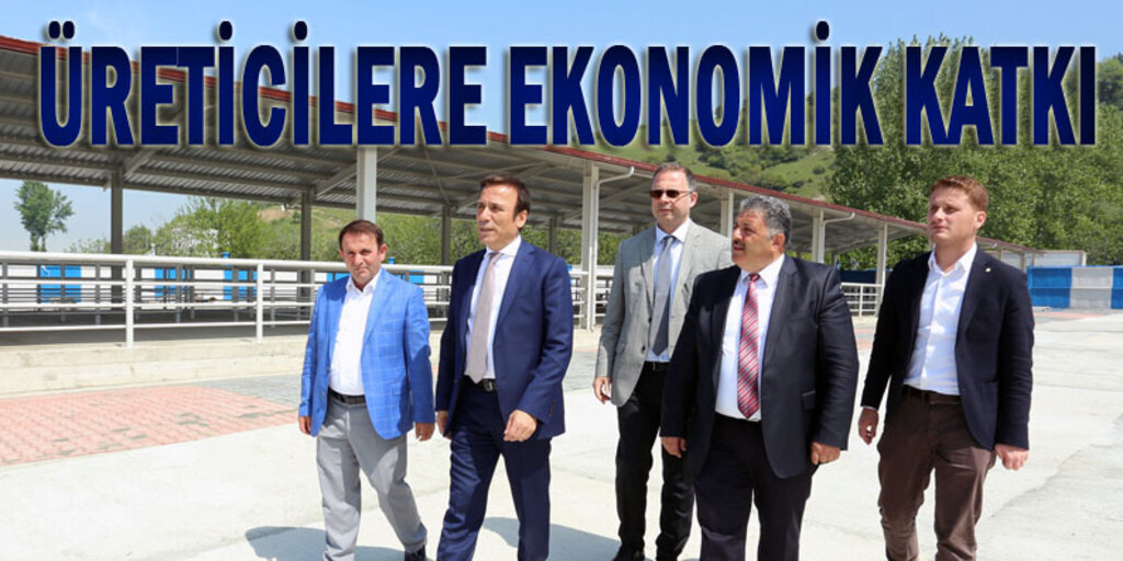 Canik'e Canlı Hayvan Pazarı açılıyor