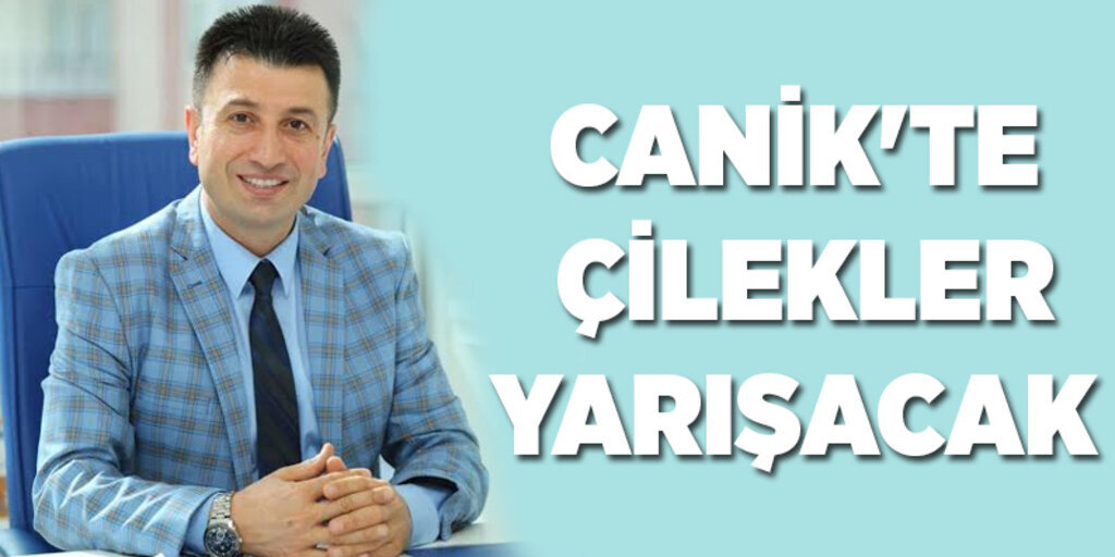 Canik'te çilekler yarışacak