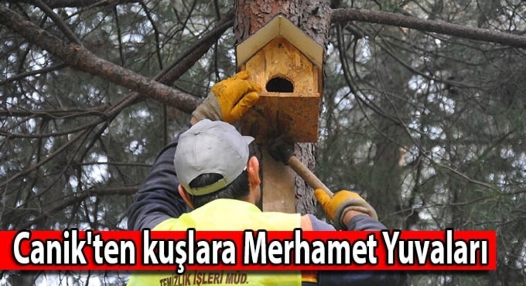 Canik'ten kuşlara merhamet yuvaları