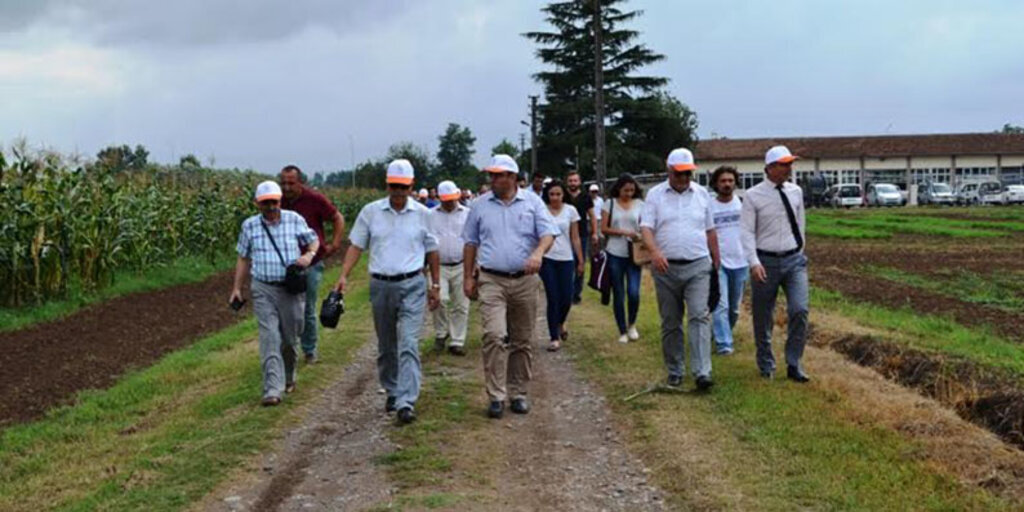 Çarşamba’da Silajlık Mısır Tarla Günü Yapıldı