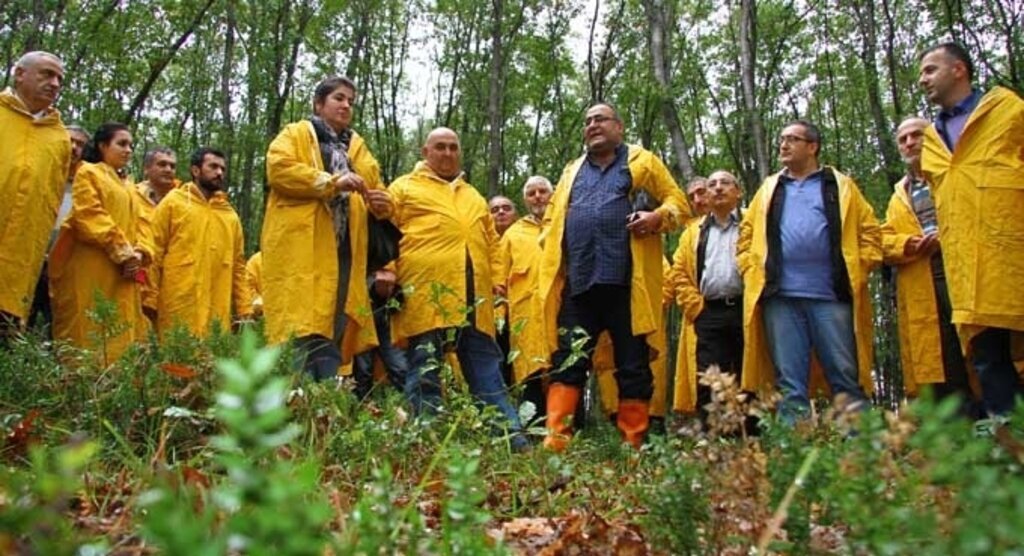 Çarşamba’da trüf mantarı çalışması yapıldı