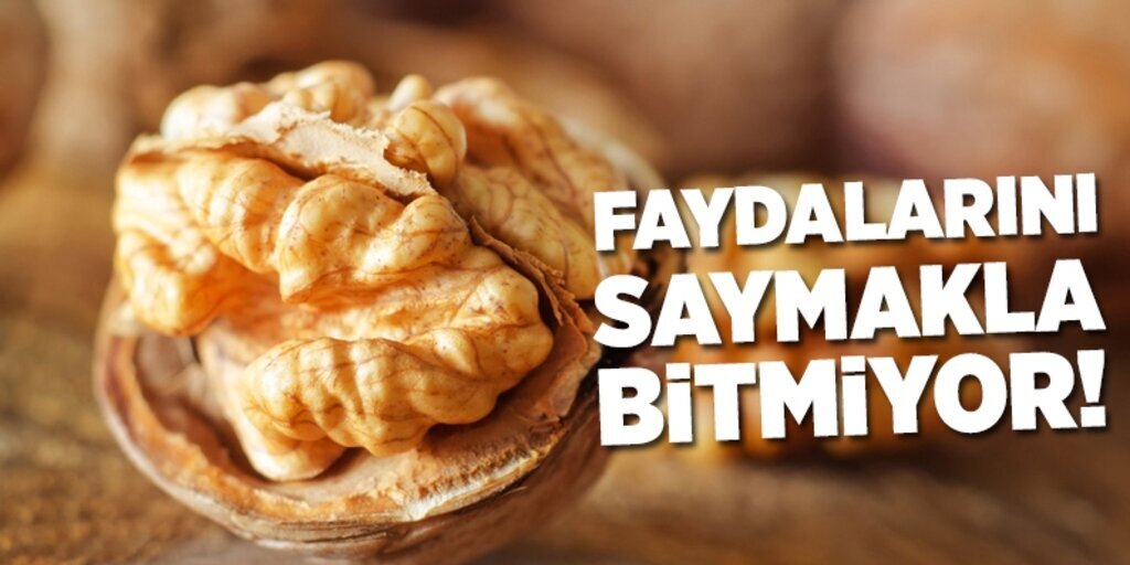 Cevizin faydaları, ceviz neye iyi geliyor!