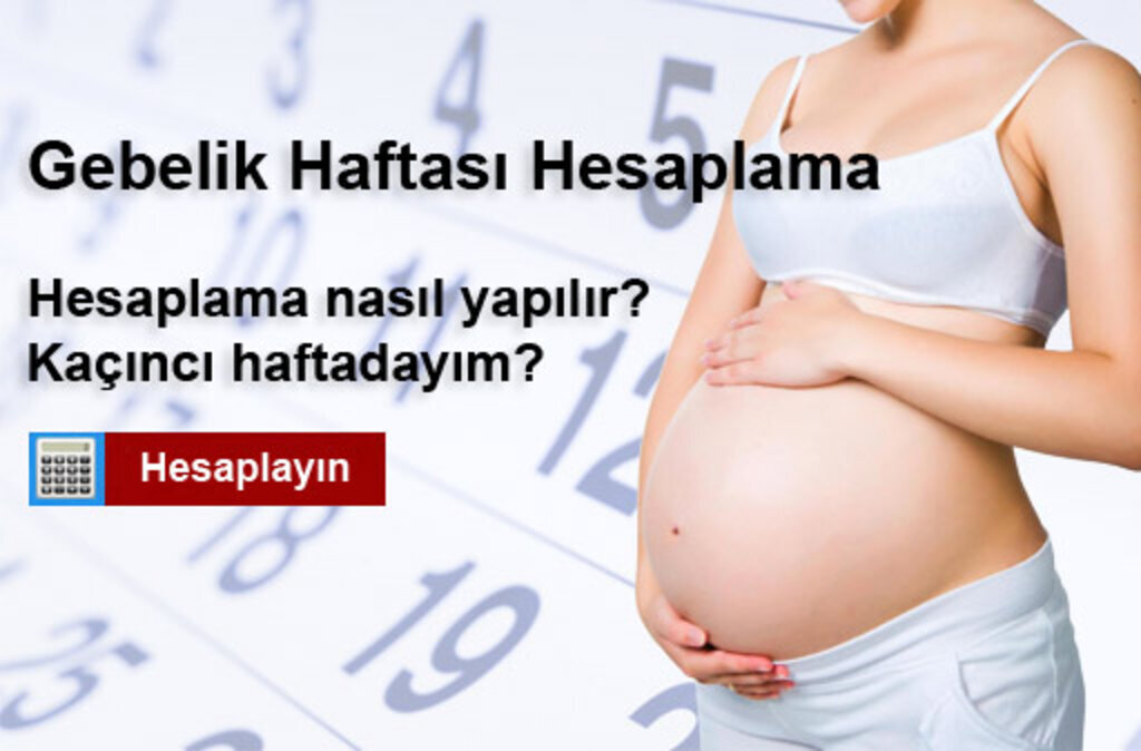 Çin Takvimine Göre Gebelik Hesaplama ve Cinsiyet Belirleme