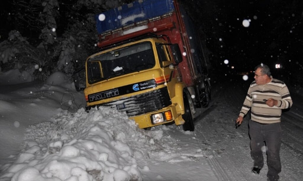 Devrilen çam ağaçları nedeniyle Gölcük Tabiat Parkı'nın yolu ulaşıma kapandı