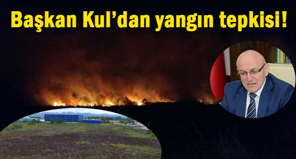 Dikkatsizlik Terme'de yangına neden oldu!