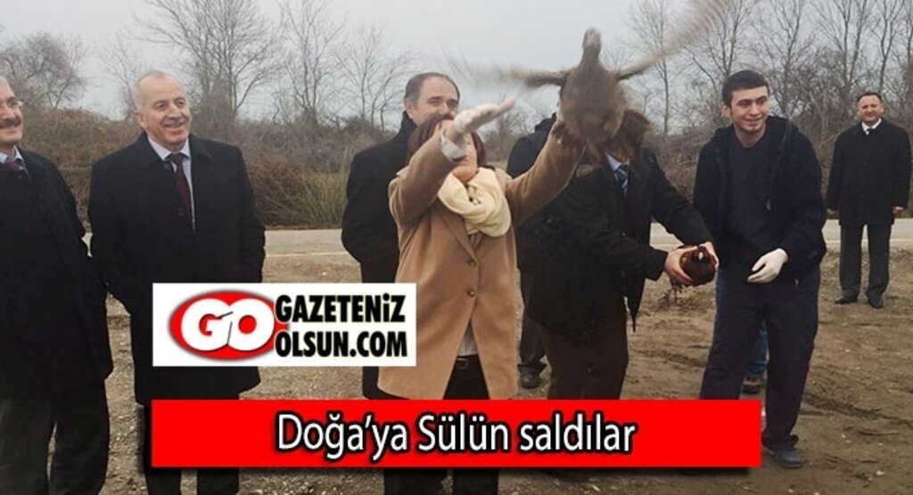 Doğa’ya Sülün saldılar