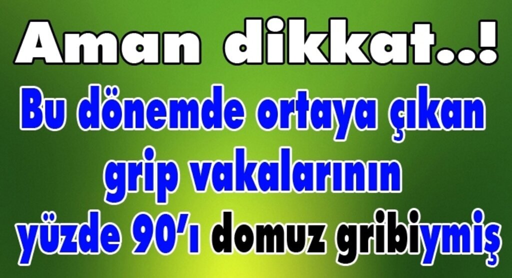 Domuz gribi mi oldunuz? Panik yapmayın, hızlı hareket edin