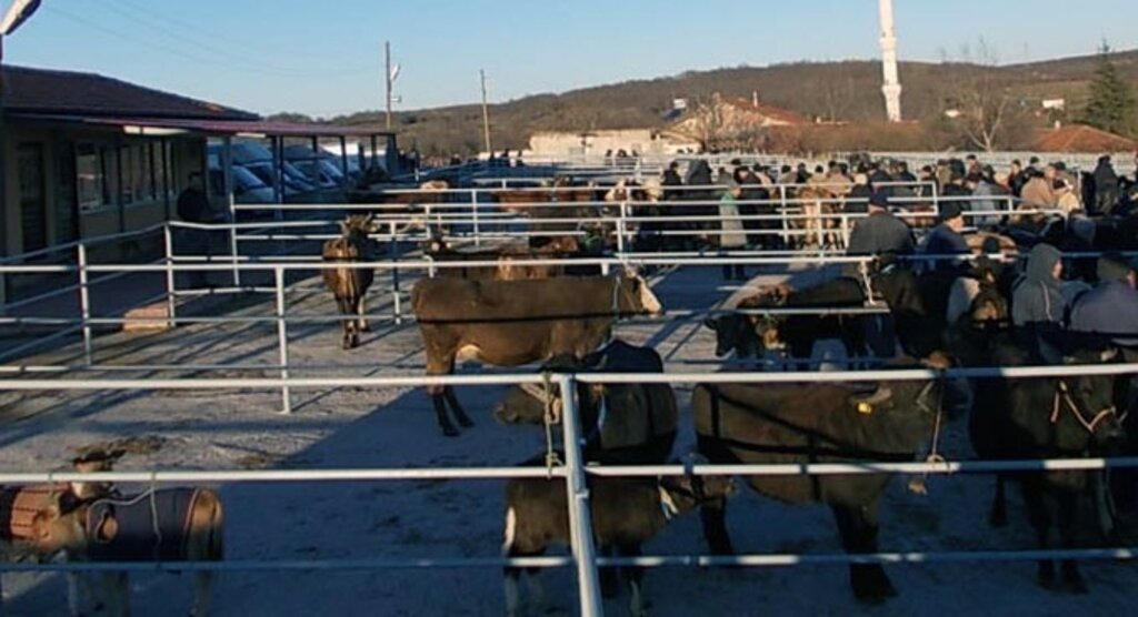 Doruk Canlı Hayvan Pazarı eski günlerine geri dönüyor