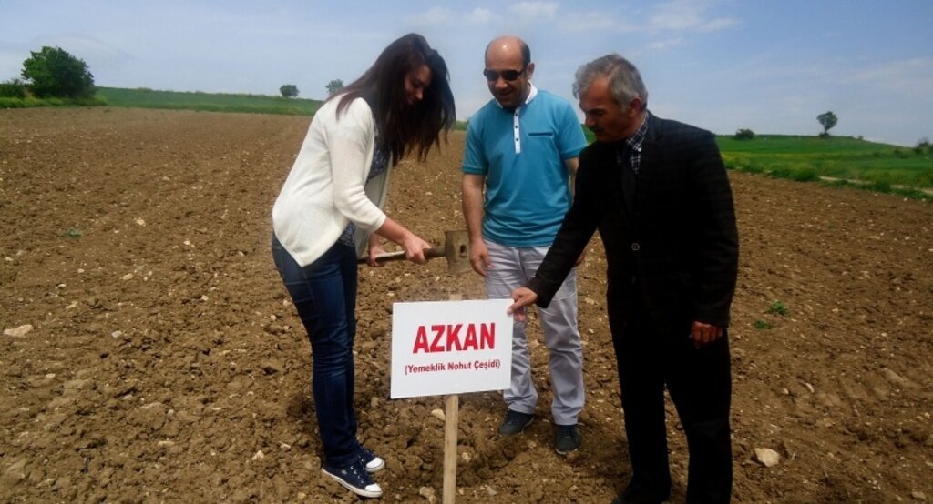 Erbaa'da deneme nohut ekimi yapıldı