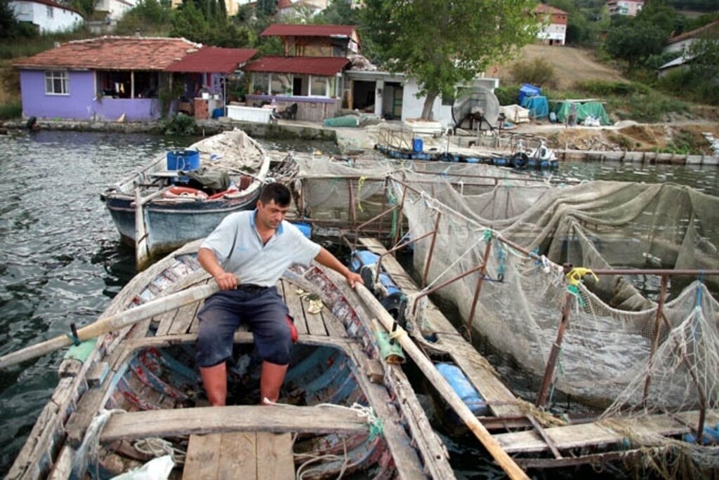 Evinin yanında yılda 200 bin balık yetiştiriyor