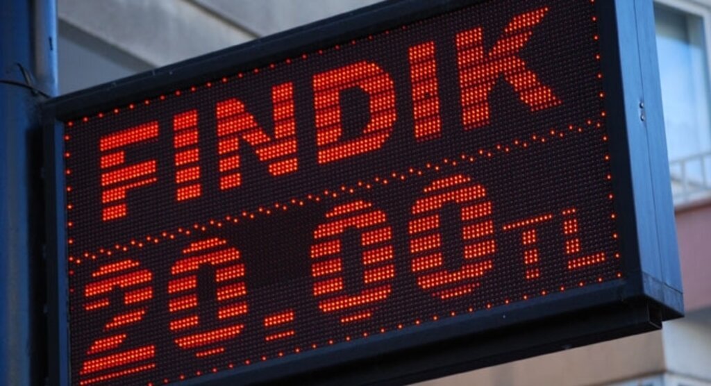 Fındığın kilogramı 20 liraya çıktı