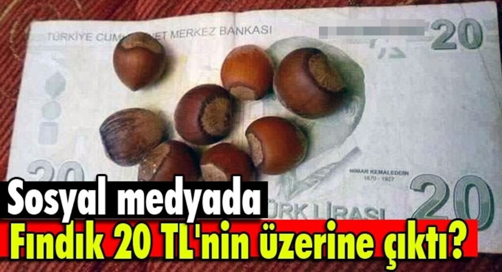 Fındık 20 TL'nin üzerine çıktı?