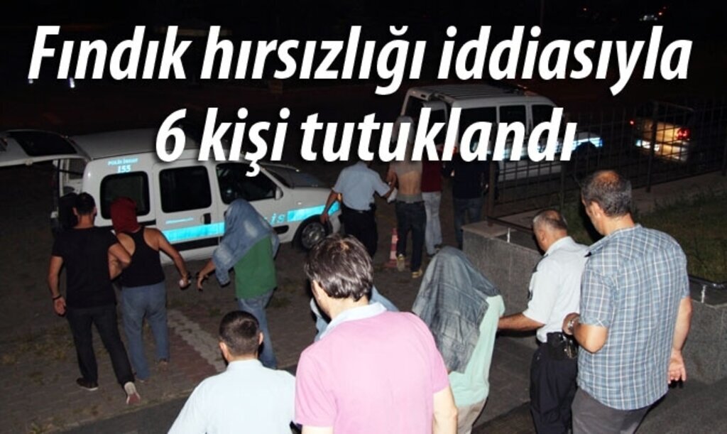 Fındık hırsızlığı iddiasıyla 6 kişi tutuklandı
