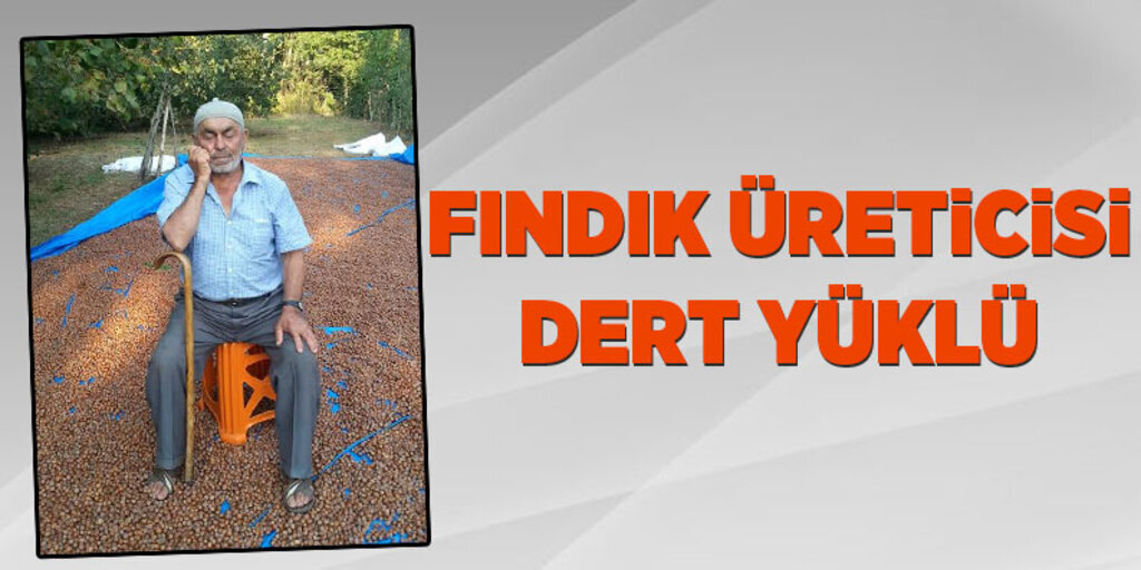 Fındık üreticisi dert yüklü