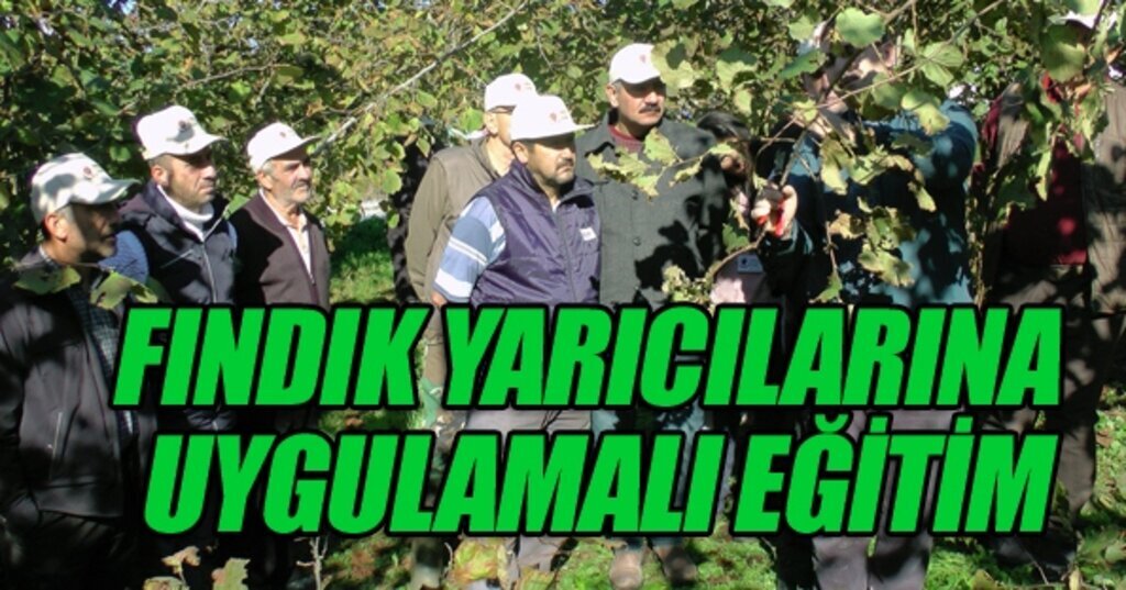 Fındık yarıcılarına bahçede uygulamalı eğitim